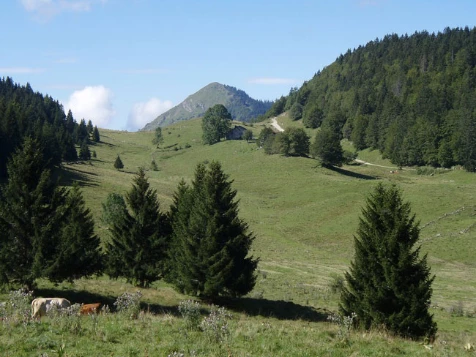 Les Crêtes du Jura - Photo 2