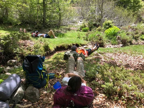 GR20 Sud : Bavella - Vizzavona - Photo 2