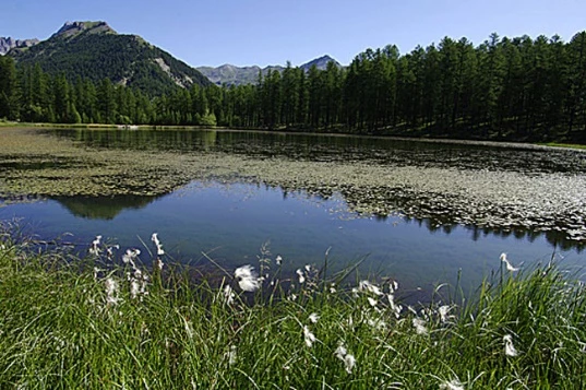 Queyras d'Exception en liberté - Photo 2