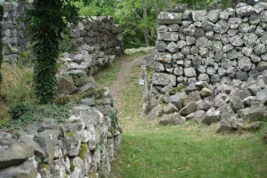 Chemins de Compostelle : Condrieu - Le Puy en Velay - Photo 3