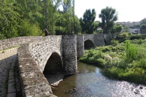 Chemins de Compostelle : Condrieu - Le Puy en Velay - Photo 2