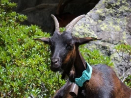 Rando & Balnéo Néouvielle Gavarnie - Photo 2
