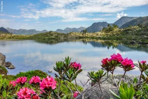 Rando & Balnéo Néouvielle Gavarnie - Photo 1