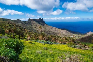 Tour de la Gomera en Liberté - Photo 2