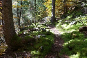 Traversée des Alpages des Aravis - Photo 3
