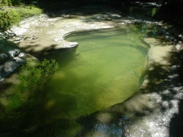 Multi activités dans le Haut Jura - Photo 1