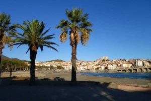 Rando & bien-être Banyuls - Photo 2