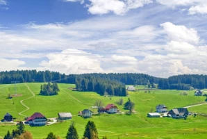 Traversée de la Forêt Noire en liberté - Photo 1
