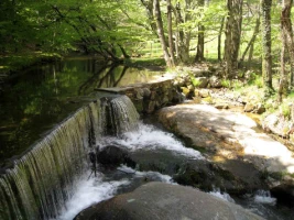 Rando & Balnéo Caroux en liberté - Photo 3