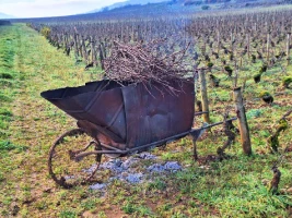 Chemins de Compostelle : Beaune - Cluny - Photo 2