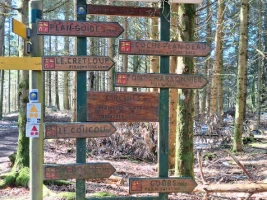 Chemins de Compostelle : Cluny - Charlieu - Photo 3