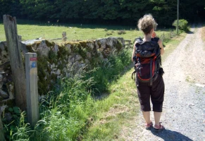 Chemins de Compostelle : Charlieu - Montbrison - Photo 1