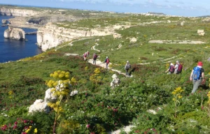 Malte, Gozo & Camino - Photo 3