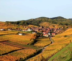 Alsace en liberté - Photo 3
