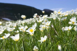 Tour du Vercors - Photo 1