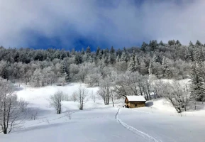 WE ski de randonnée nordique Vercors - Photo 1