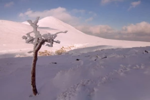 Auvergne en étoile - Photo 2