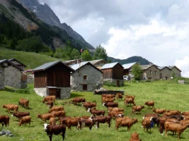 GTA : Evian - Briançon en Liberté - Photo 1