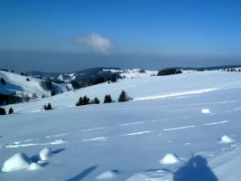 Traversée de la Haute Forêt Noire - Photo 3