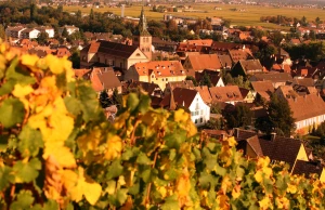 WE Réveillon Alsace - Photo 1