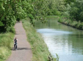 La Loire à Vélo, Nevers - Orléans - Photo 2