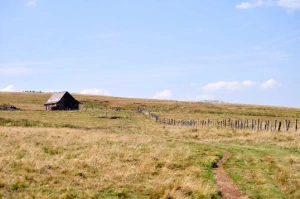 Aubrac : Les Grands Espaces en liberté - Photo 1
