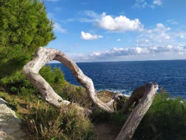 WE Réveillon à Menton : mer et balcons de la Côte d'Azur - Photo 3