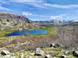 Transversale de Corte à Porto - Photo 1