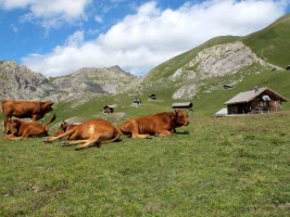 Multiactivités dans le Queyras - Photo 3