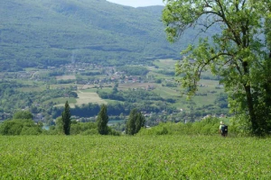 Sur les pas des Huguenots : Chambéry - Genève - Photo 2