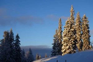 WE Réveillon dans le Haut Jura - Photo 3