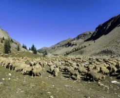 Retrouvance® : Haut Verdon - Photo 3