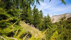 Retrouvance® : Buëch Dévoluy - Photo 2