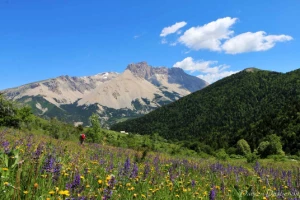 Retrouvance® : Buëch Dévoluy - Photo 2