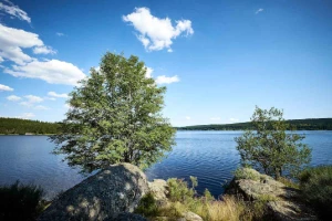 Stevenson : du Puy a St Jean du Gard - Photo 1