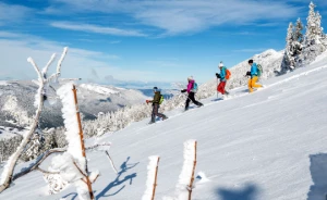 Raquettes hivernales en liberté et détente Vercors - Photo 3