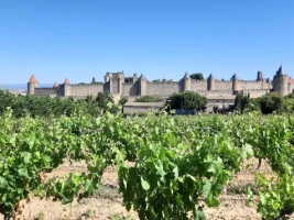 WE Réveillon à Carcassonne - Photo 3