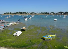 WE Réveillon Golfe du Morbihan - Photo 1