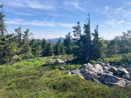 Rando & Bien Etre dans les Hautes Vosges - Photo 1