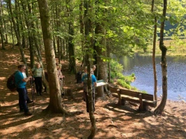 Rando & Bien Etre dans les Hautes Vosges - Photo 3