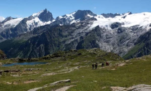 Les Ecrins avec un âne - Photo 1