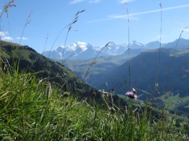 Tour du Beaufortain en liberté - Photo 1