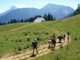 Tour de Chartreuse avec un âne - Photo 1