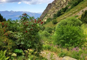 GR10 : De Merens les Vals - Vernet les Bains - Photo 3