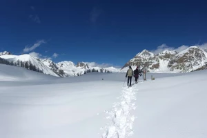 Raquette sauvage en Clarée - Photo 3
