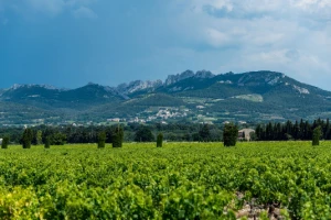 Tour du Mont Ventoux et les Baronnies Provençales - Photo 1