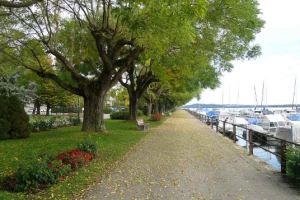 Sur les Pas des Huguenots : Yverdon - Soleure (Suisse) - Photo 1