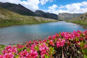 Les Hauts Sommets d'Andorre - Photo 2