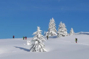 Au Coeur des Aravis - Photo 2