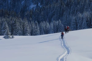 Au Coeur des Aravis - Photo 2